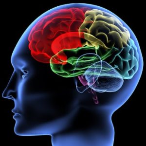 anxiety symptoms chemistry brain of human image